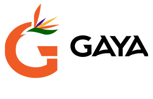 Gaya